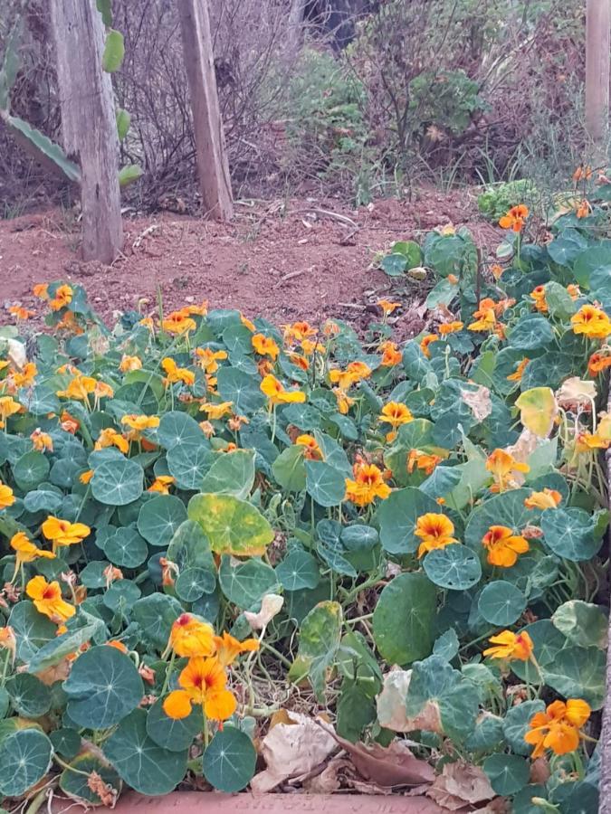 Chalés Magia das Águas Águas de Lindóia Exterior foto