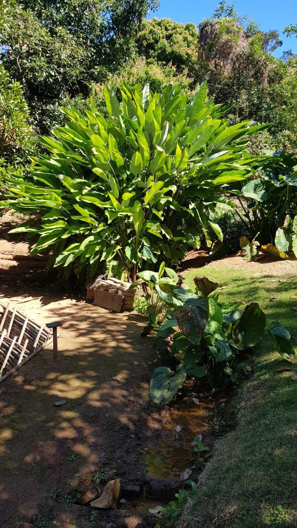 Chalés Magia das Águas Águas de Lindóia Exterior foto