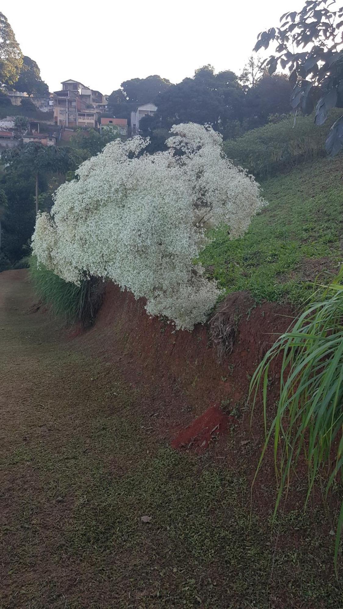 Chalés Magia das Águas Águas de Lindóia Exterior foto